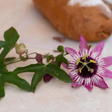 Appartamento Virginia Studio 3